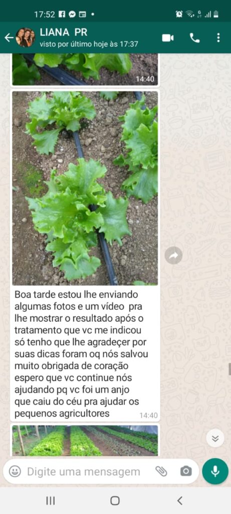 depoimento-liana-parana-magrao-hortalicas.jpeg