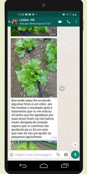 depoimento_liana_pr_mold _s